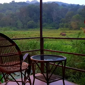 https://jungle-retreat.kerala-hotels.net